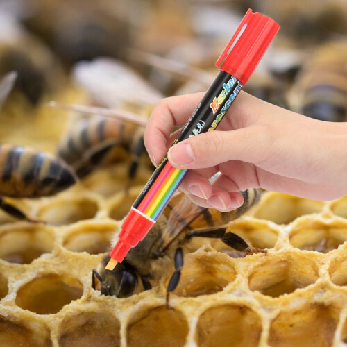 Bienenkönigin-Markierungsstift 8-farbig Rot 2