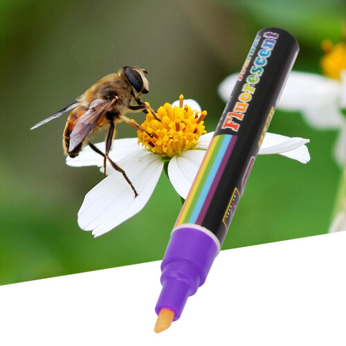 Bienenkönigin-Markierstift Kunststoff 8 Farben Lila 1