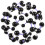 Molecular Model Set 1 Set Detailliert 0,04x9,04x0,90 Zoll 1