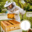 50 Pièces Plaque Anti- À Multiples Trous Pour Ruche Apiculture 6