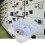 AC-Voltmeter 0-500V Span Spannungsmessgerät 5