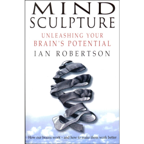 Mind Sculpture by Ian Robertson Paperback Book