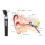 Carevas LED-Otoskop 3X True View 8 Tipps FDA CE 4