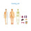 Human Body Model Organs Bones Assembly Learning Tool Anatomy STEM Gift 1