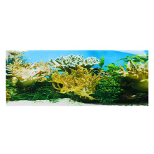 (61x41cm) PVC Adhesive Water Plants Coral Aquarium Background 61x41cm