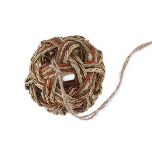 Rabbit Bites Ball Safe Multifunctional Hamster Chews Toy 2