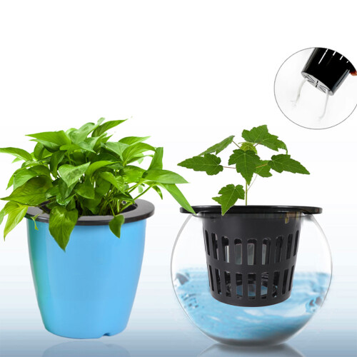 100 Unidades De Plástica Para Plantas Y Sin 2