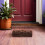 Driftwood In Legno Naturale Per Bonsai E 6