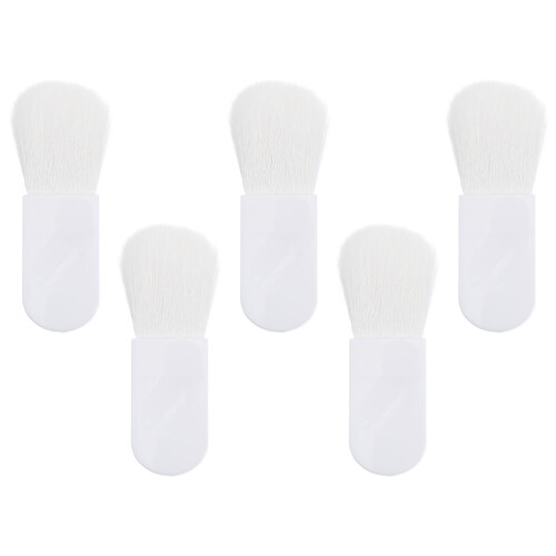 Set Aus 5 Tragbaren Mini Make-up Mit Weichen Borsten