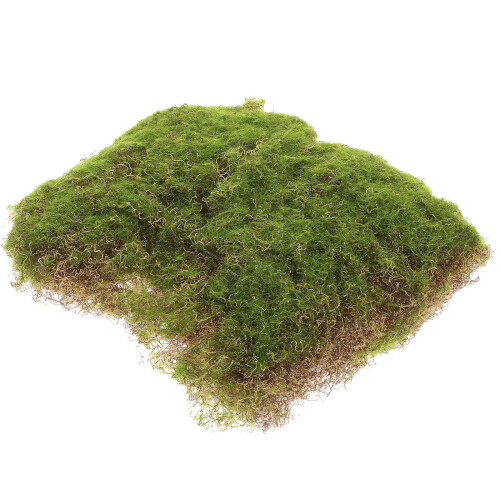 Simulado Alfombra Artificial Lichen Estera