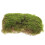 Simulado Alfombra Artificial Lichen Estera 5