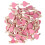 100Stk Büroklammern Fotohalter Rosa 3