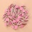 100Stk Büroklammern Fotohalter Rosa 5