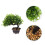 3 Pezzi Bonsai Artificiale Piccolo Da Per Mobile Tv Decorazione 10