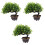 3 Pezzi Bonsai Artificiale Piccolo Da Per Mobile Tv Decorazione 3