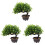 3 Pezzi Bonsai Artificiale Piccolo Da Per Mobile Tv Decorazione 2