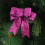 10pcs Christmas Bows for Tree Hanging Decor Mini Christmas-Blue 7