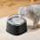 Pet Water Dispenser Automatic Mute Cats Water Bowl-Black 5