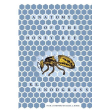 Anatomy of the Honey Bee by R. E. Snodgrass Paperback Book