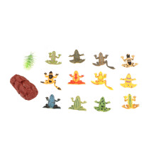 12-teiliges PVC-Frosch-Lehrspielzeug mit Gras und Stein