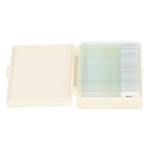25PCS Microscope Slides Optical Glass Transparent for Algae Cell 1