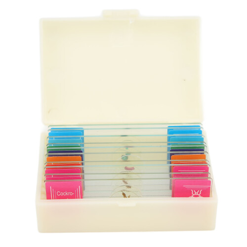 10Pcs Microscope Slide High Transparent Biological Specimen 1
