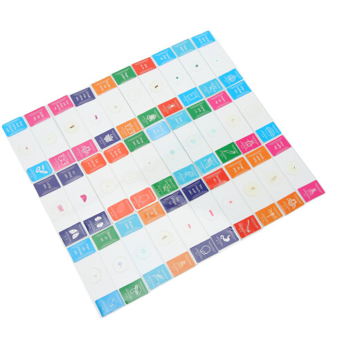 30Pcs Microscope Slides with Box Transparent Biology Set 2