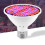 LED-Wachstumslampe Rot/Blau 300 LEDs E27 3
