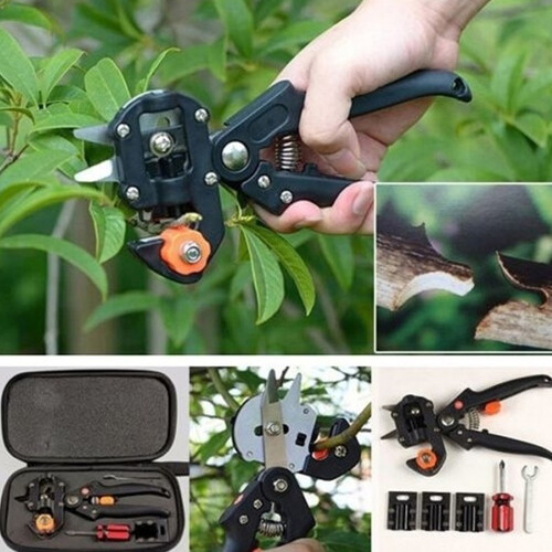 Pfropfwerkzeugset Obstbaum-Schere Schneidkit 2