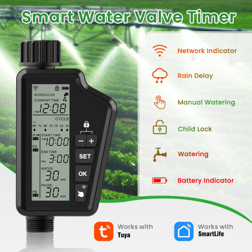 Tuya WiFi Smart Garden Irrigation Controller with Digital Display 1