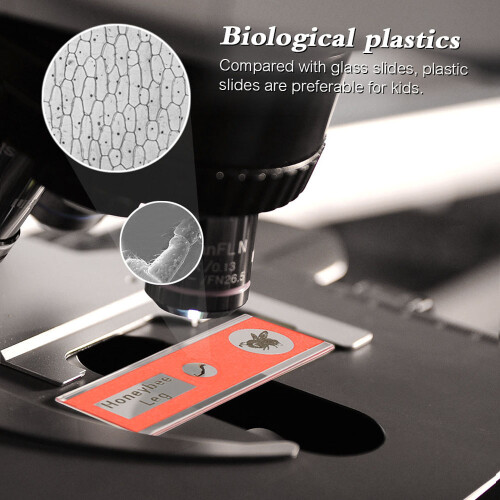 48pcs/set Plastic Microscope Slides Animals Insects Plants 1
