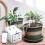 WIFI Smart Watering Device Double Pump Timed Drip APP Control 1