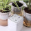 WIFI Smart Watering Device Double Pump Timed Drip APP Control 2