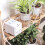 WIFI Smart Watering Device Double Pump Timed Drip APP Control 4