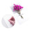 6 Pezzi Fatto A Mano Con Fiore Essiccato 1