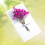 6 Pezzi Fatto A Mano Con Fiore Essiccato 11