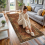 Imperial Rooms Traditional Runner Rug 80 x 300 cm Hallway Carpet 1