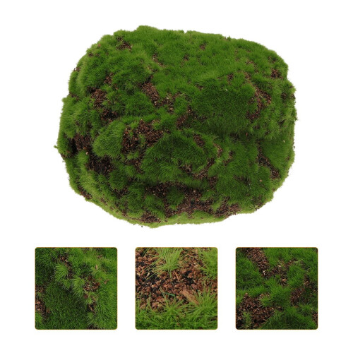 1 Pièce Mousses Séchées Pour Pot À Fleurs Décoratif Maison 2