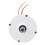 12V 100W Windturbine Permanentmagnetgenerator 5