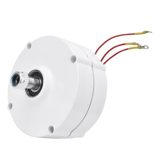 12V 100W Windturbine Permanentmagnetgenerator 2