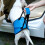 Dog Harness with Handle Set No Pull Adjustable Harness-S Blue 6