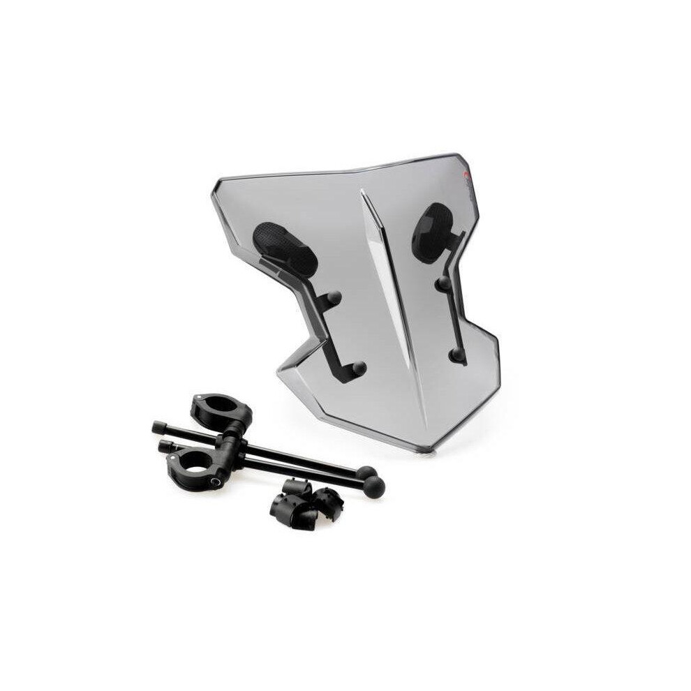 Puig Flanker Screen Smoke For Zontes (17-23) Light 8435529323033
