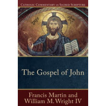 The Gospel of John by Mary Healy Paperback Book