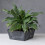 Nouveaut Ella Pot de fleurs carr bas 30,5 cm Noir 3