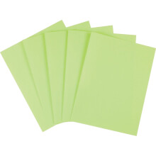 Staples 490879 Felgekleurde Papier 8 1/2-Inch x 11-Inch Groen Huls