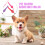 4St Comfortabele Kat Hond Halsband Design Met 9