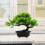 4 Unidades De Árvore De Bonsai De Artificial Vaso 11