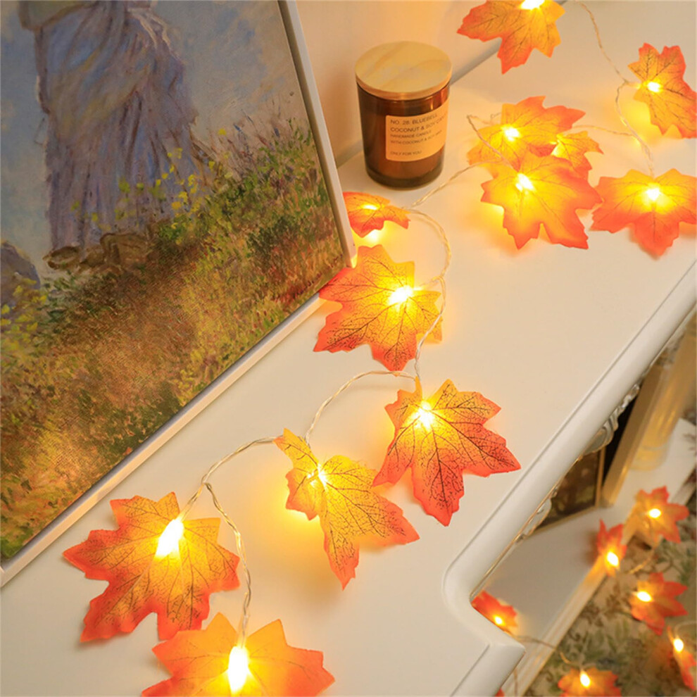 Warm White Coloured USB Fairy Lights Maple Leaf Shape Indoor Outdoor String Lights 3M 20LED Yellow-image-OPC-PMCPQVW-NEW