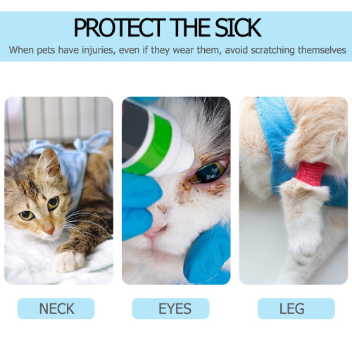 100pcs cat nail caps paw protector for pets 1