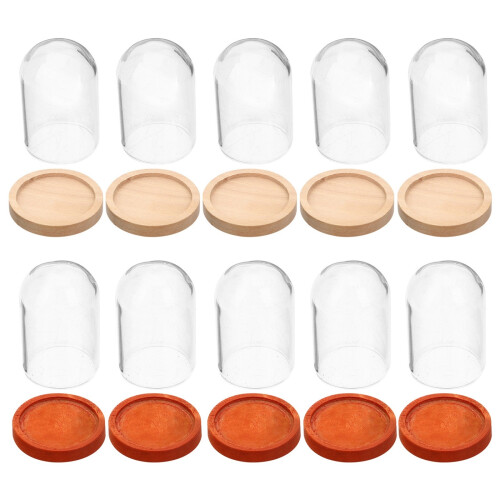 40 Pcs Rose Globe Glass Display Case With Transparent Dome And Base